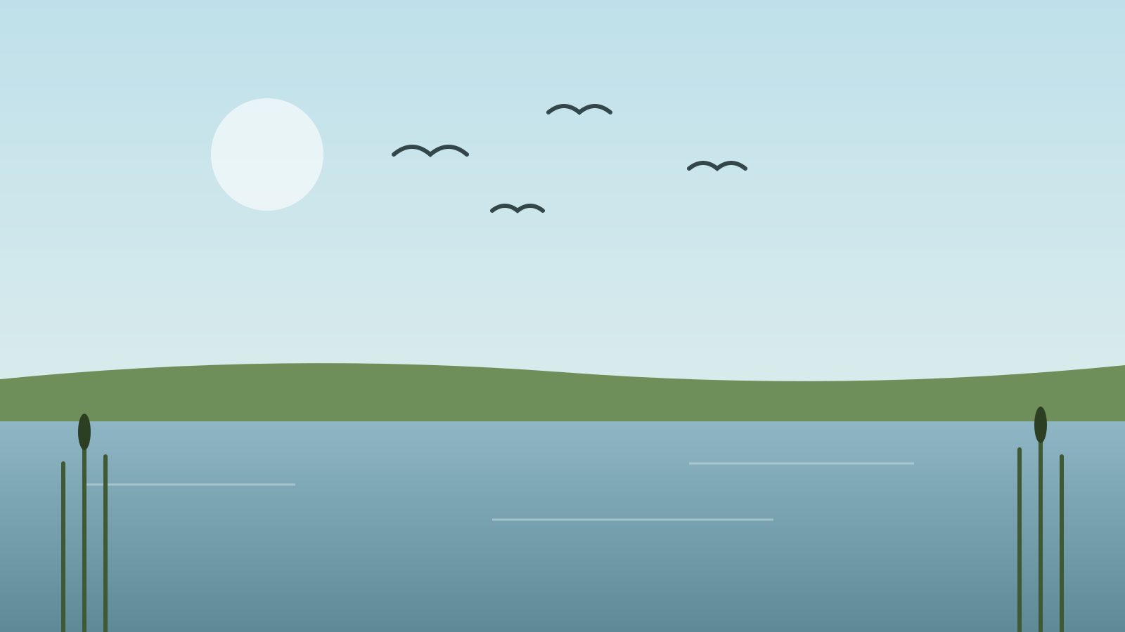 Водно-болотные угодья и перелётные птицы